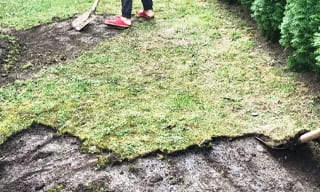 Снятие дерна старого газона в Сланцах – от 511 руб. | ГОСТСТРОЙ